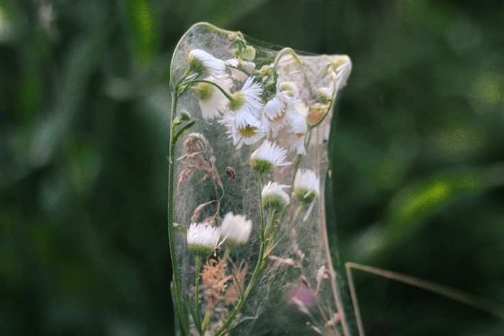 Finding Peace Inside the MRI Machine