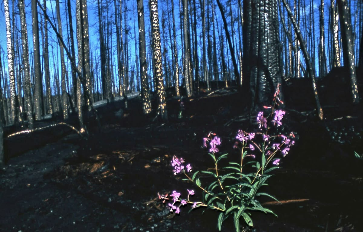 I don’t have a best friend anymore